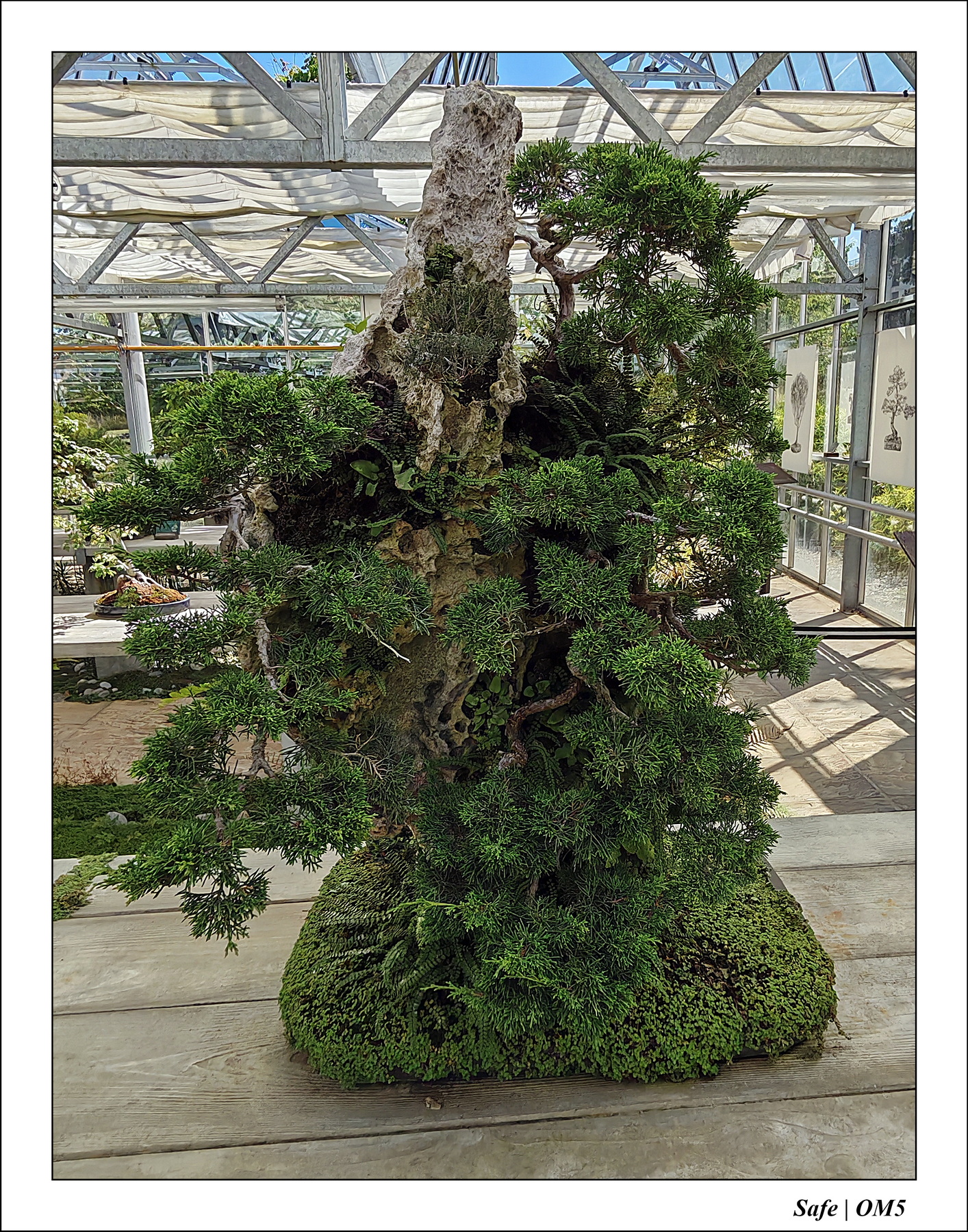 2025 - 08 - Vallée des loups - 13